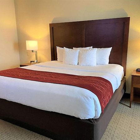 Rogersville Comfort Inn & Suites מראה חיצוני תמונה