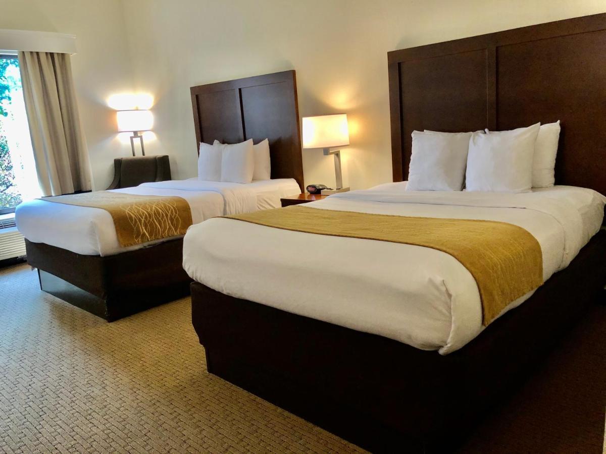 Rogersville Comfort Inn & Suites מראה חיצוני תמונה