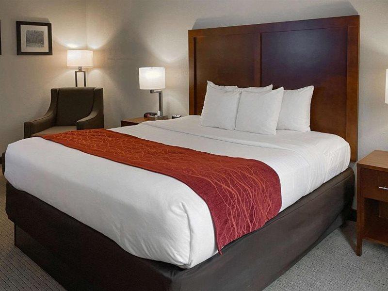 Rogersville Comfort Inn & Suites מראה חיצוני תמונה