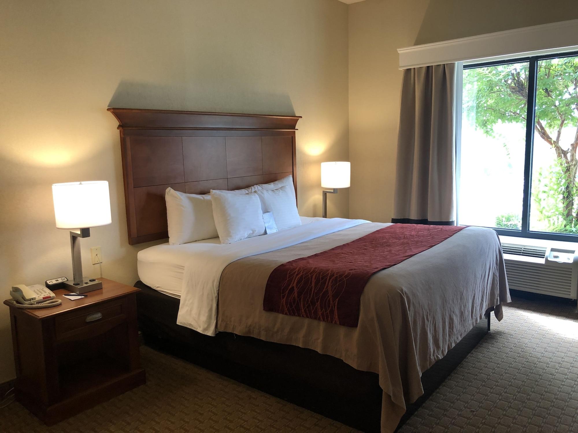 Rogersville Comfort Inn & Suites מראה חיצוני תמונה