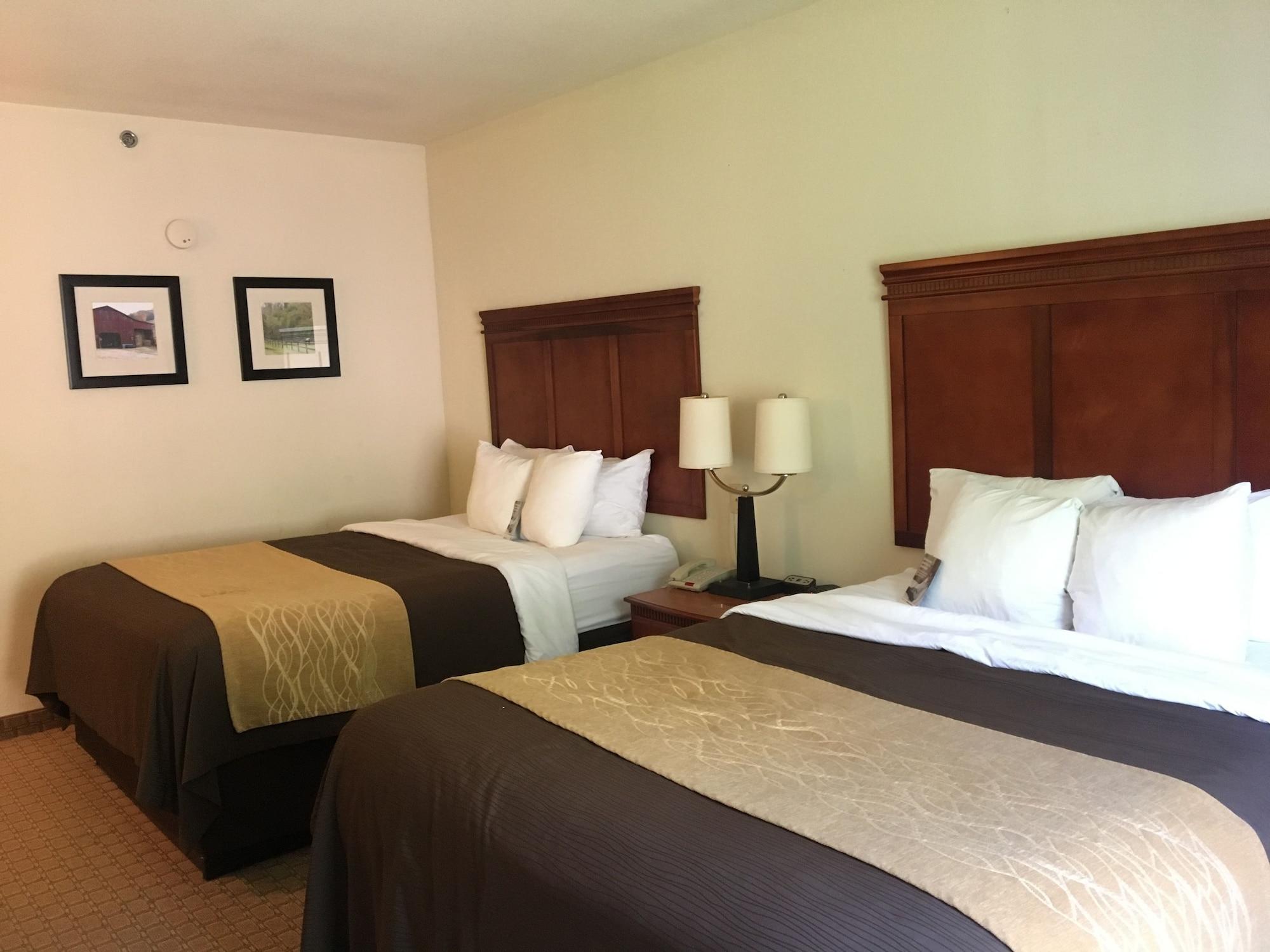 Rogersville Comfort Inn & Suites מראה חיצוני תמונה