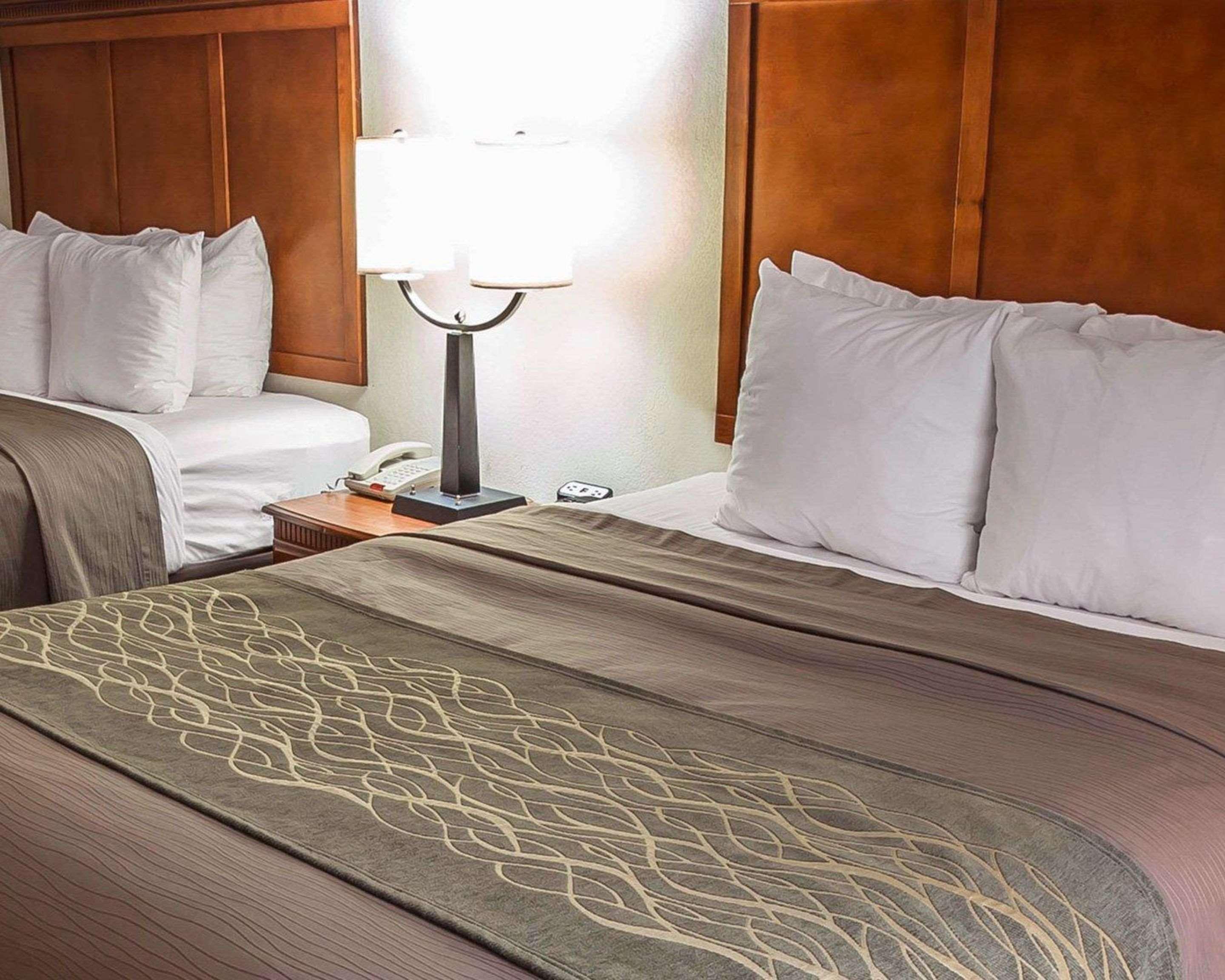 Rogersville Comfort Inn & Suites מראה חיצוני תמונה