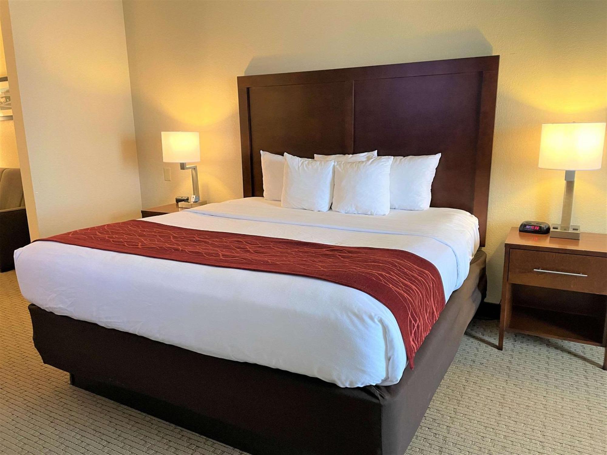 Rogersville Comfort Inn & Suites מראה חיצוני תמונה