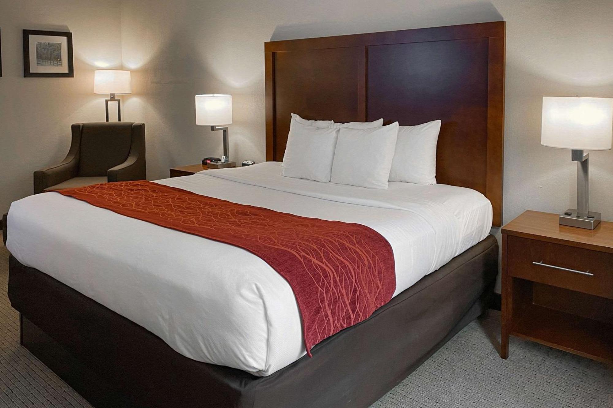 Rogersville Comfort Inn & Suites מראה חיצוני תמונה